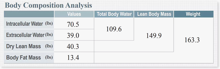 body_compo_1