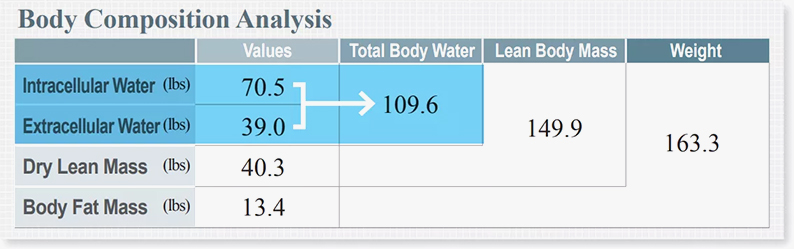 body_compo_2