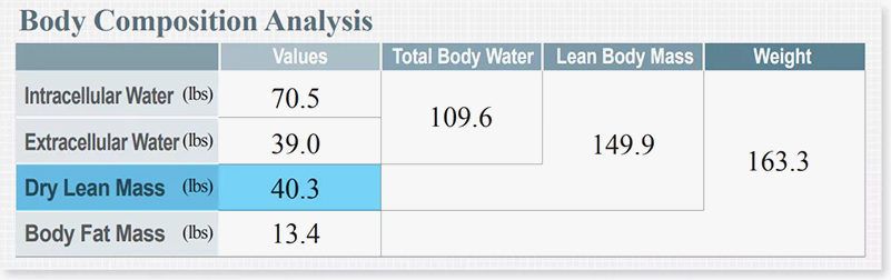 body_compo_3