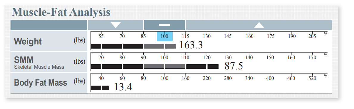 body_compo_2