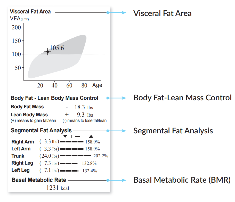 body_compo_1